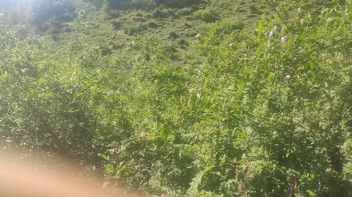 甘肃临夏县多支巴沟美丽风景