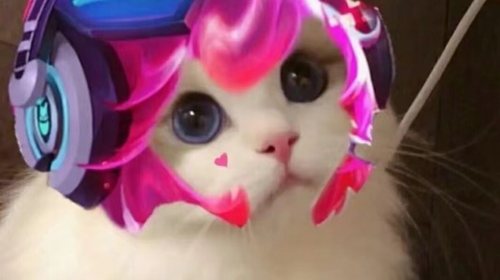 和猫猫双人成行 ..