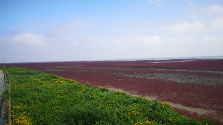 6月26号葫芦岛市区至盘锦红海滩02