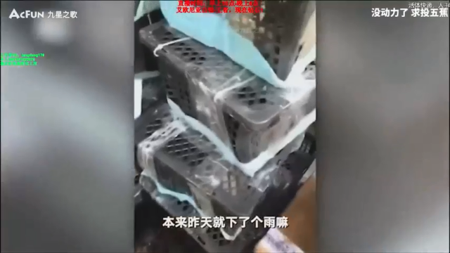 浪灯丶+2021-07-01 10点场+英雄联盟：20杀5助攻统治比赛，这赵信玩的，你给打几分