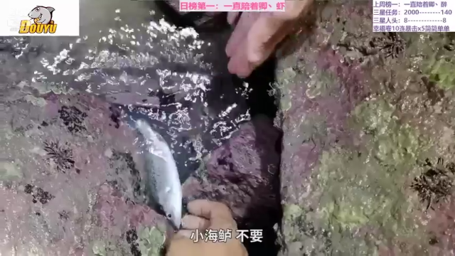 【2021-07-02 00点场】迷人的卿姐姐i：英雄杀最强预言家~~~