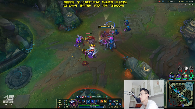 我在斗鱼看智勋勋勋勋直播英雄联盟