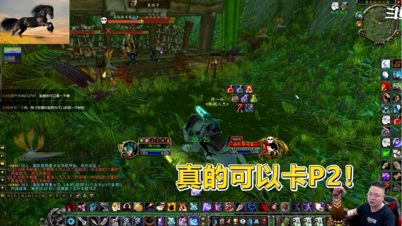 魔兽TBC怀旧服：术士大佬诚不欺我！老虎真的能卡进P2阶段！