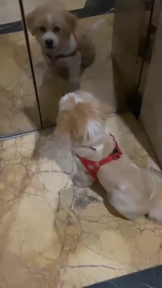 爱的人正在路上