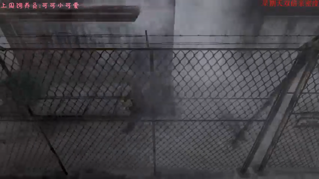 【2021-07-03 22点场】七潇丷：惊悚恐怖游戏！！！