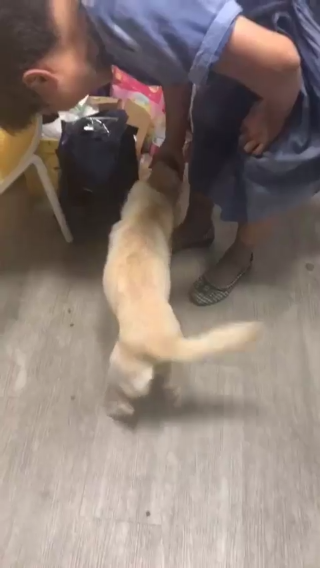 有你们真好