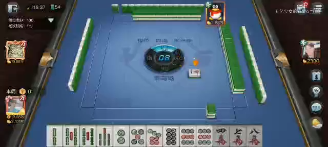 欢乐麻将 想摸个大清