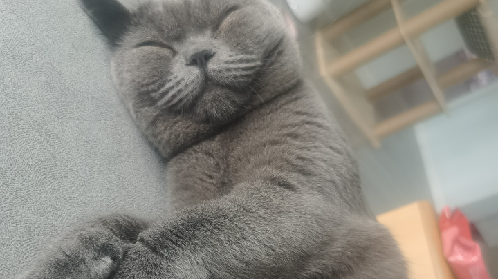 来杯可乐吧