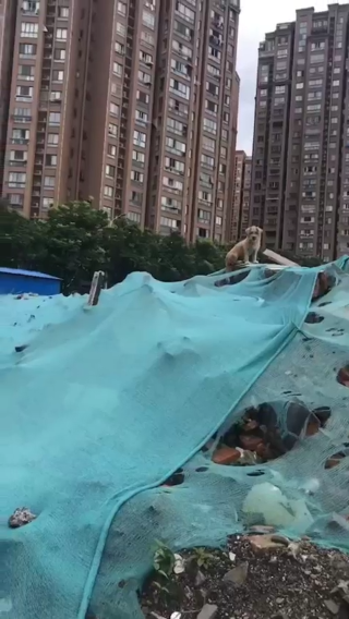 愿你们被温柔以待