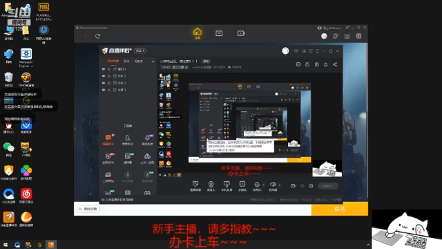 【2021-07-04 16点场】一只小小流浪猫：小菜鸟出没，请注意！！！
