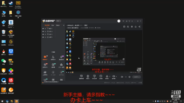 【2021-07-05 13点场】一只小小流浪猫：小菜鸟出没，请注意！！！