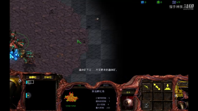 星际争霸宏图2v2