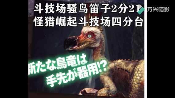 斗技场骚鸟+笛子+2分21+怪猎崛起斗技场四分台