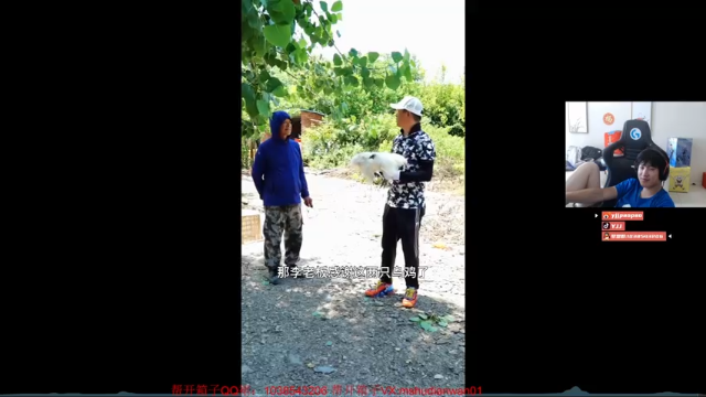 【2021-07-06 14点场】yjjimpaopao：YJJ BAODA钓鱼佬