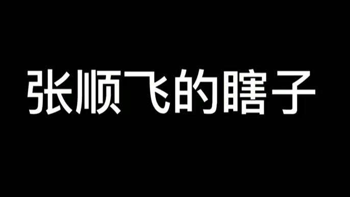 玩盲僧就看张顺飞