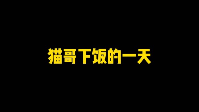 大龙猫：猫哥下饭的一天