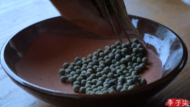 【美食】李子柒liziqi的精彩时刻 20210706 00点场