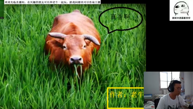【2021-07-06 11点场】牛魔王牛sir：庇护生活服 老牛的致富之路