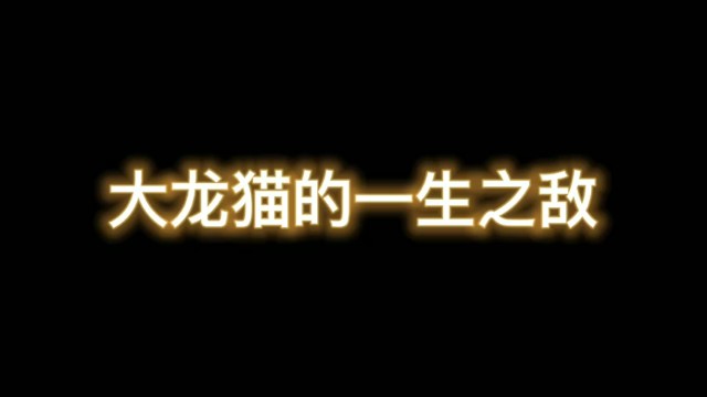 大龙猫：PK场的一生之敌