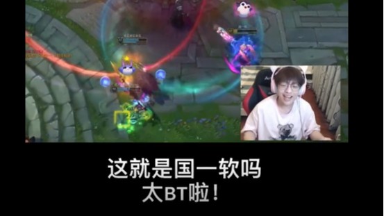 什么是国一软啊