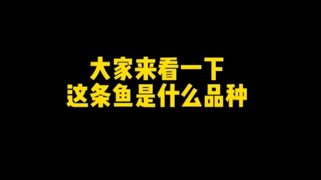 好不容易以为上钩了就这？？？