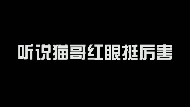 【大龙猫】你这跟人家打的有来有回的，怎么就装起来了呢