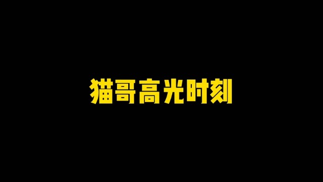 大龙猫：猫哥的高光时刻！跟我玩PK