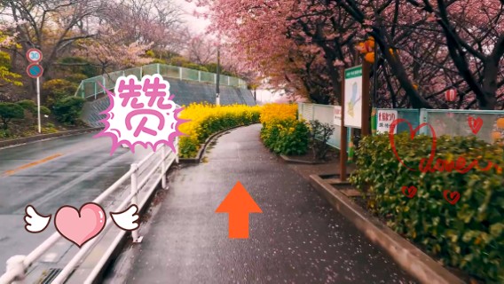 记得投币哦  樱花道 美翻了 放松解压 下雨声催M曲 深度睡M大自然治愈