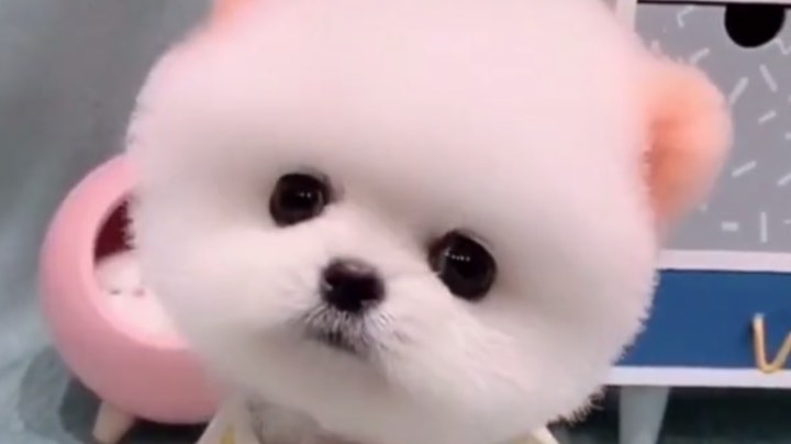 蒙新