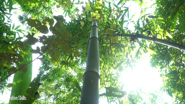 第三季更新高清E115升级锤子科技【(8)真人我的世界-空手发展-单人炼铁】