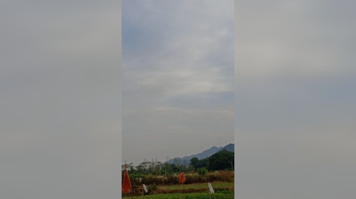 打飞机