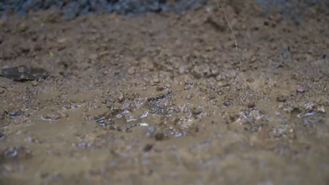 第三季更新高清E114野生床(1)【真人我的世界-空手发展-单人炼铁】