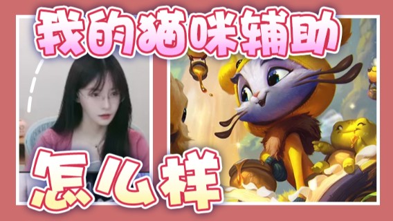 3-2，我的猫咪辅助怎么样