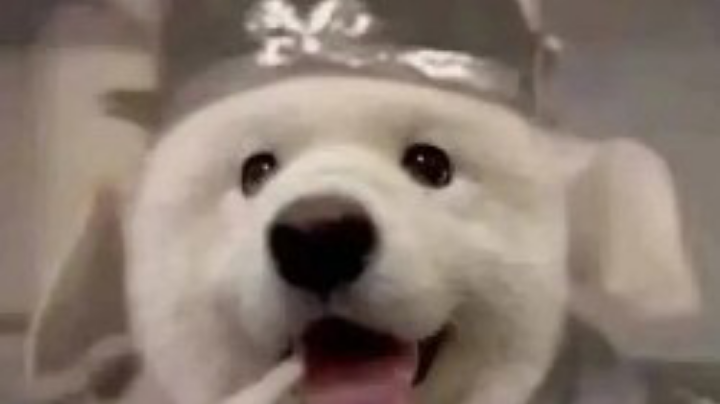 直播