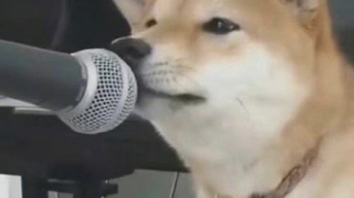 素材