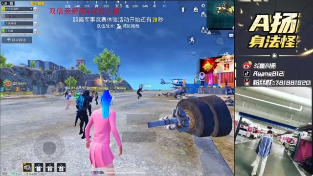 【A扬丷】15杀惜败，一波失误，功亏一篑