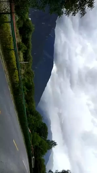 【2021-07-07 15点场】小tan爱上车柔怡：骑行川藏线-day17-鲁朗到林芝