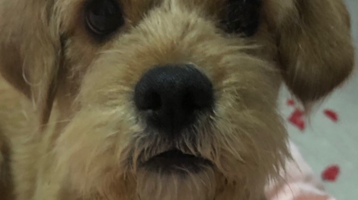 。。。