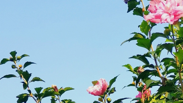 好的标题 能吸引人