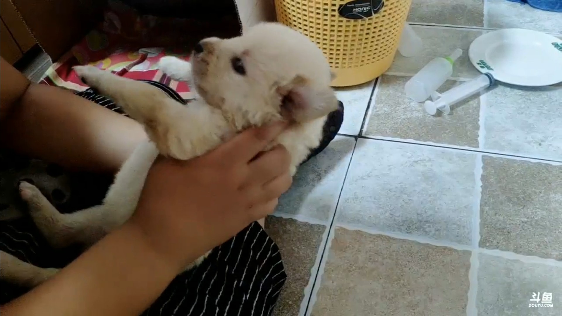 认知健康生活家庭式体验