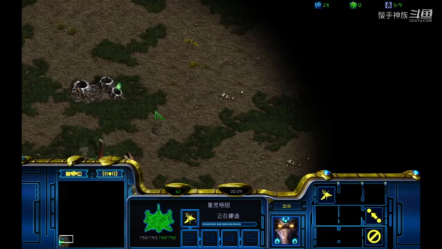 pvz斗魂2021-06-30 13-12-22