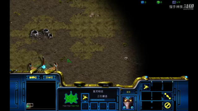 天梯pvz狂热者一波打穿