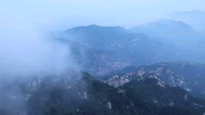 公益助农｜山东青岛平度市：大泽山葡萄等你来尝