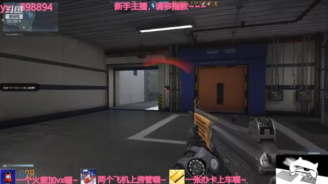【2021-07-07 15点场】一只小小流浪猫：小菜鸟出没，请注意！！！