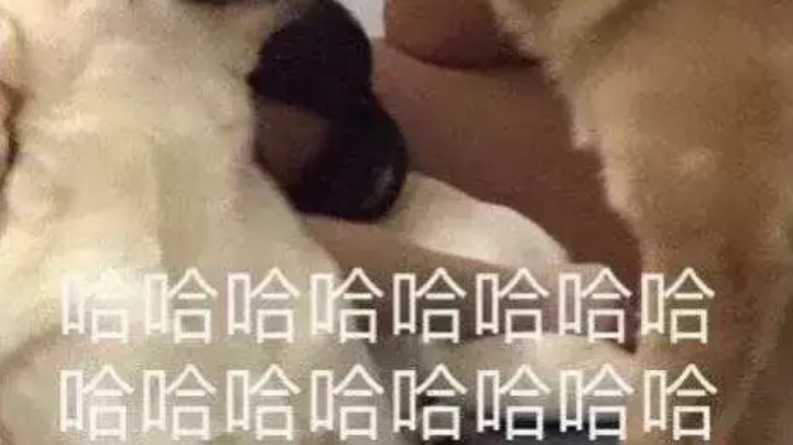 7.7直播录像