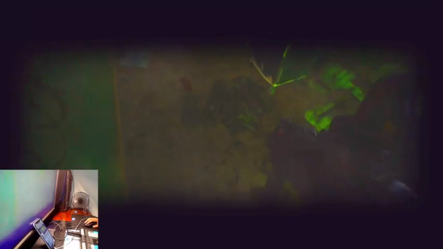 【2021-07-04 05点场】文化人老七：近战击杀世界第一