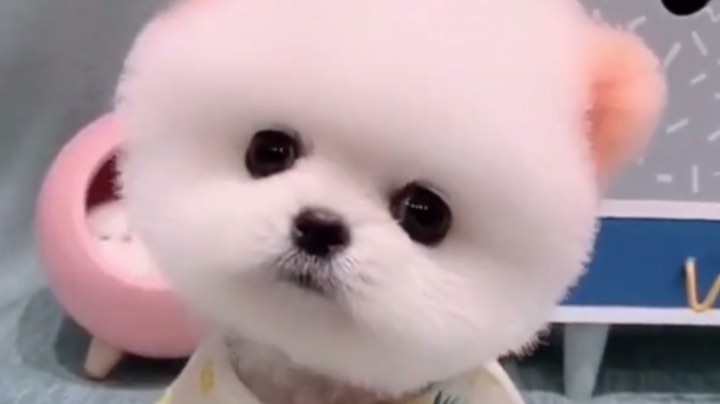 蒙新