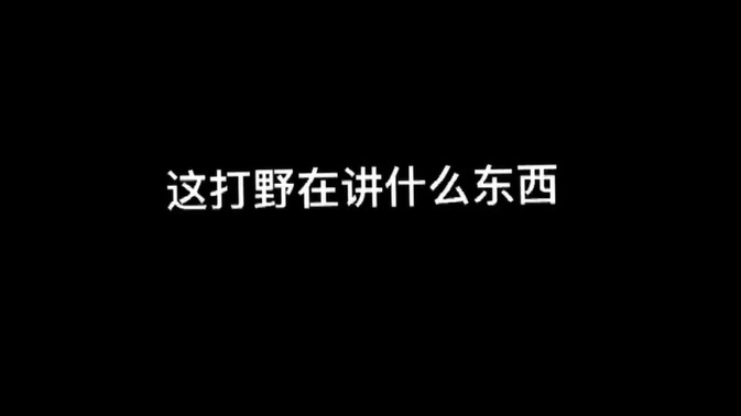 这打野在讲什么东西