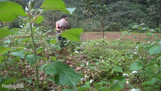 第三季更新高清E112快过年了(6)整下装修【真人我的世界-空手发展-单人炼铁】