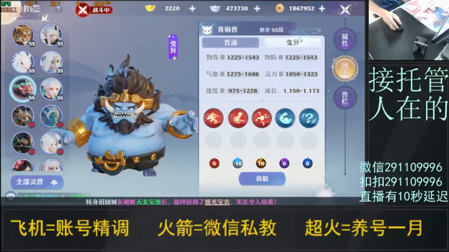 【2021-07-02 13点场】战神万夫：账号精调 完美打造 宠物打书
